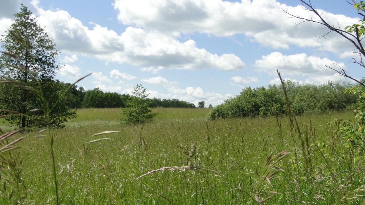 Agroturystyka Zywe كرولانكي المظهر الخارجي الصورة