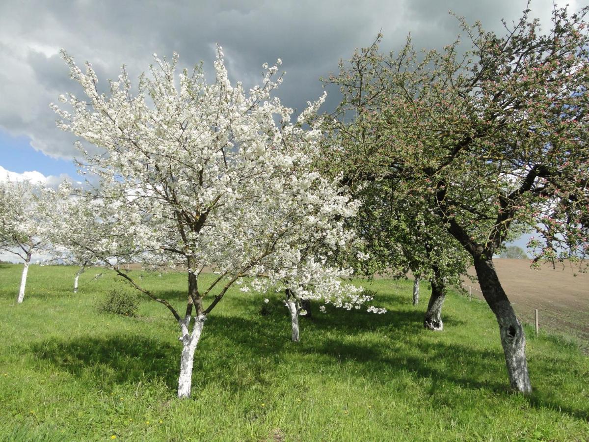 Agroturystyka Zywe كرولانكي المظهر الخارجي الصورة